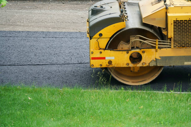 Best Custom Driveway Pavers  in Woodbury, MN