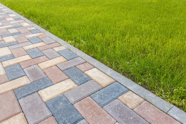 Best Driveway Repair Near Me  in Woodbury, MN